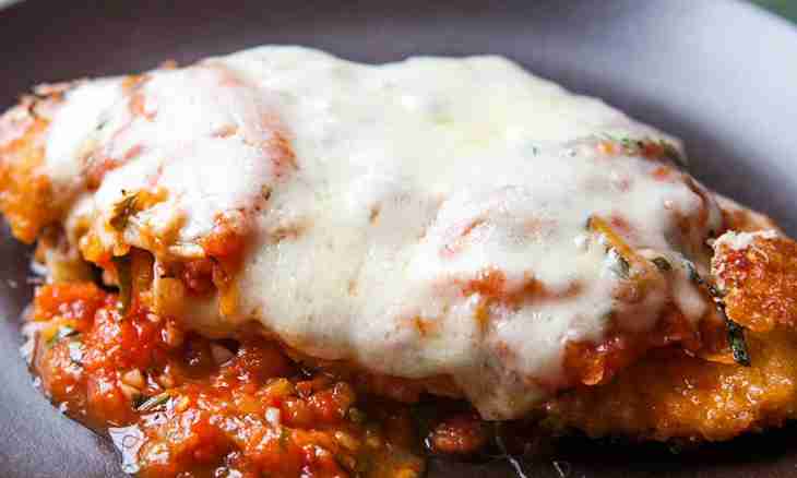 Chicken with parmesan in tomato sauce