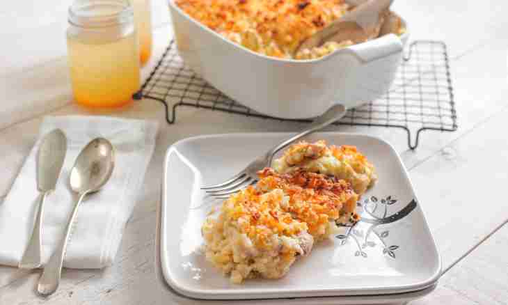 Gentle carrot casserole for the child