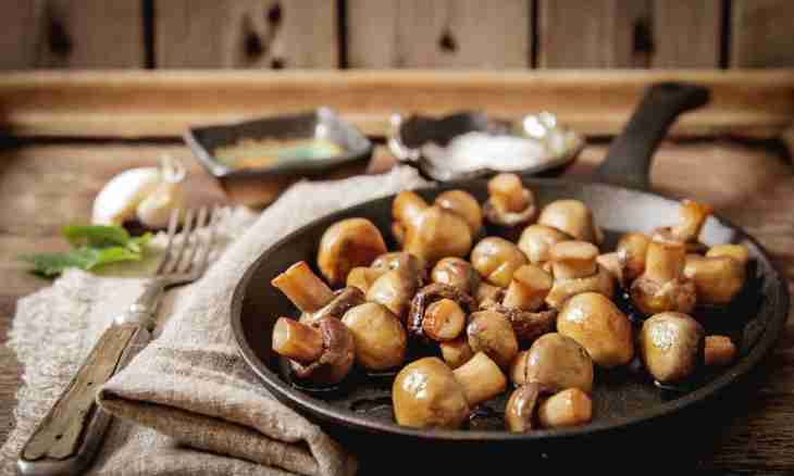 How to make meat in pots with mushrooms