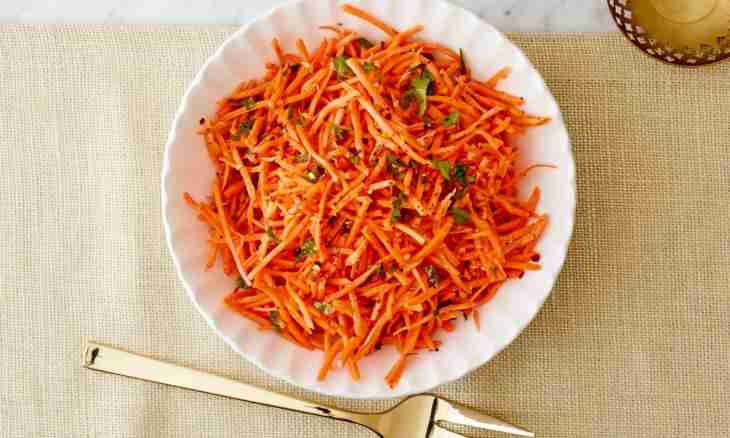 Recipes of salads from carrots with garlic