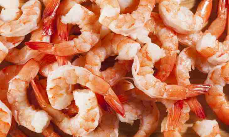 How to cook fresh shrimps
