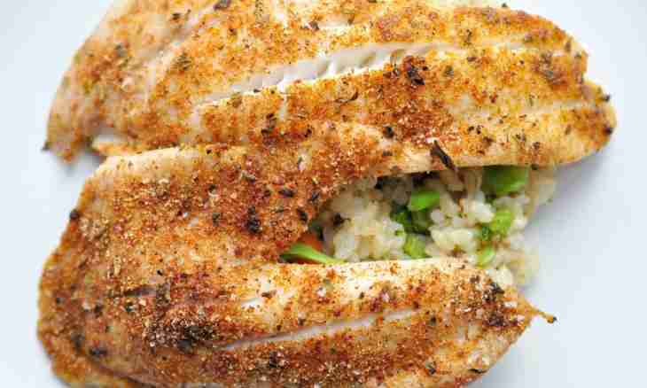 Refined recipes for fish of a tilapia