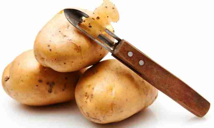 What can be prepared from potato