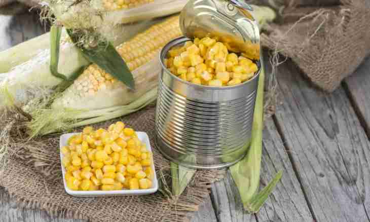 Fast recipes with tinned corn