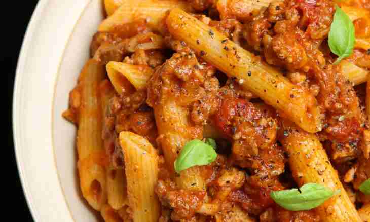 Penne paste with ragout from ground pork