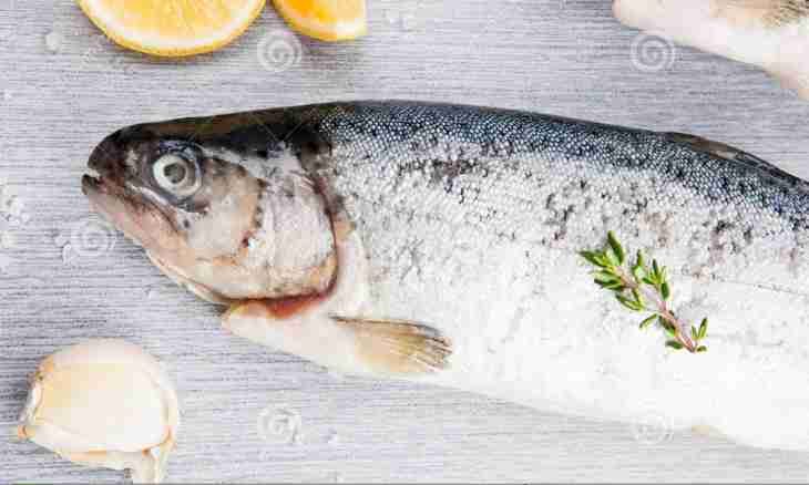 How to salt a trout in house conditions