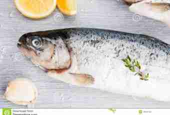 How to salt a trout in house conditions