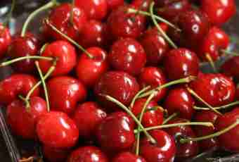 How to freeze pitted cherries