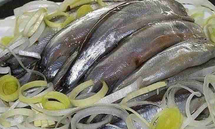 As quickly and tasty to prepare a capelin