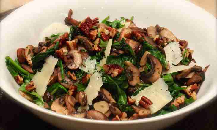 Spicy mushrooms with spinach