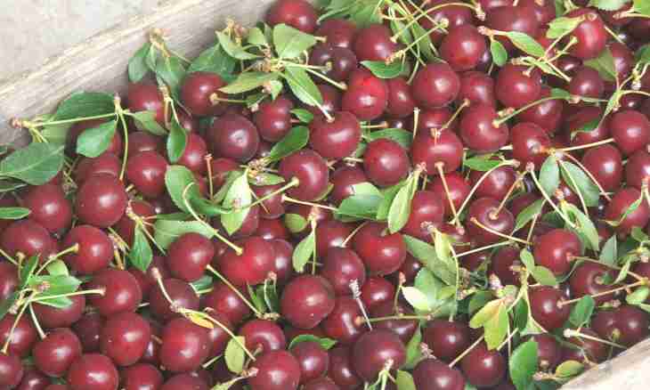 How to make pitted cherries in own juice
