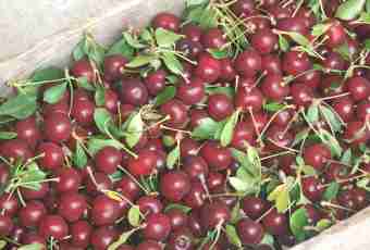How to make pitted cherries in own juice
