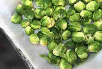 Brussels sprout from a fetuchina