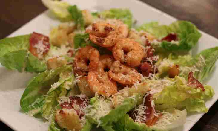 Shrimps and arugula CAESAR salad