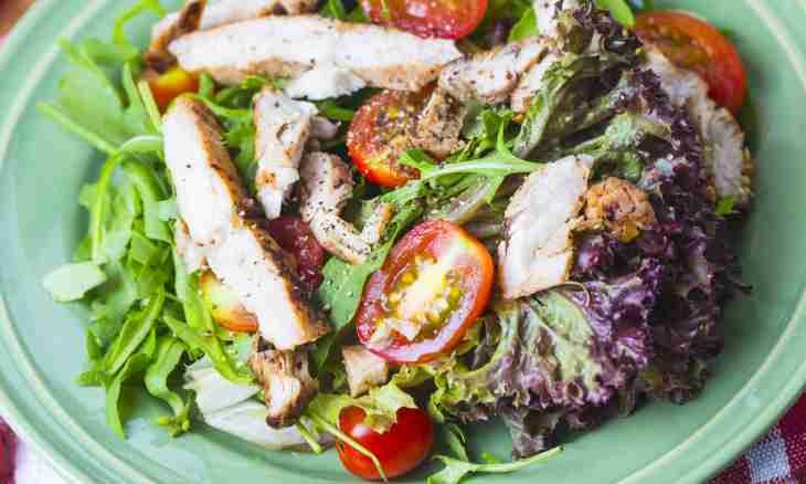 Arugula salad with a chicken liver