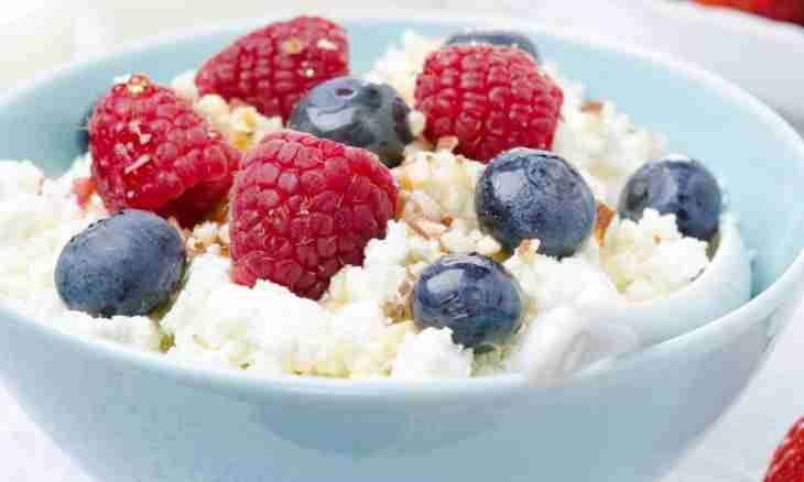 Fruit salad with cottage cheese