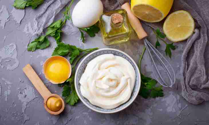 How to make vegetable mayonnaise