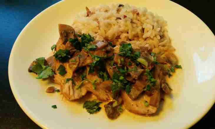 How to prepare the baked turkey in a creamy mushroom sauce