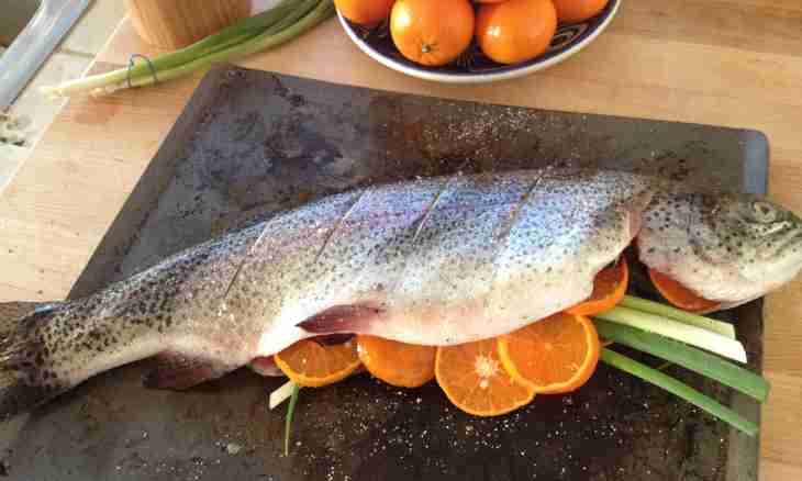 How to fry a trout