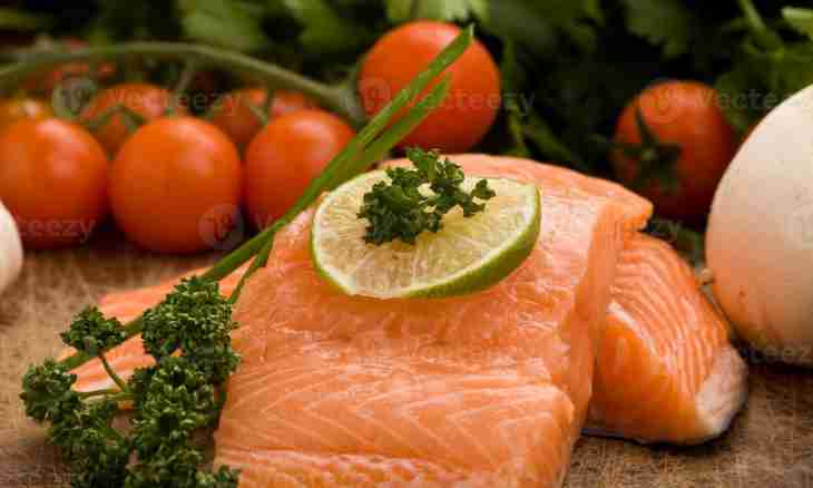 Caloric content of a silver salmon, useful properties and preparation