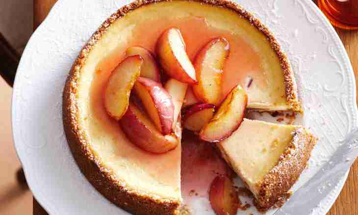 How to make tasty cheesecakes with persimmon