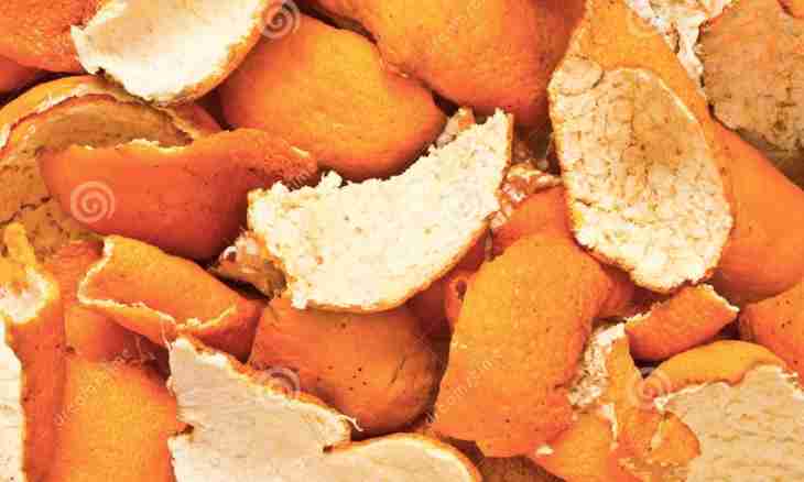 Orange pulp jam and dried peel