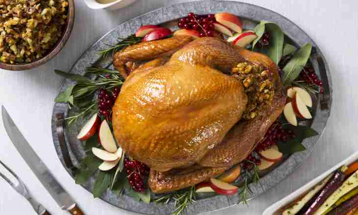 Recipes of dishes from a turkey
