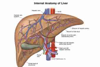 How to make a liver soft