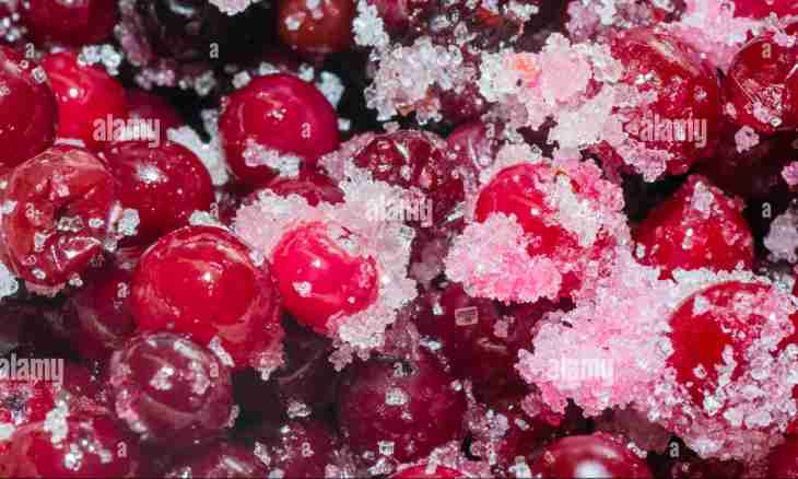 Cranberry in sugar