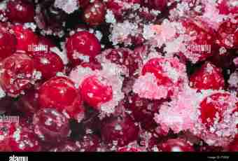 Cranberry in sugar