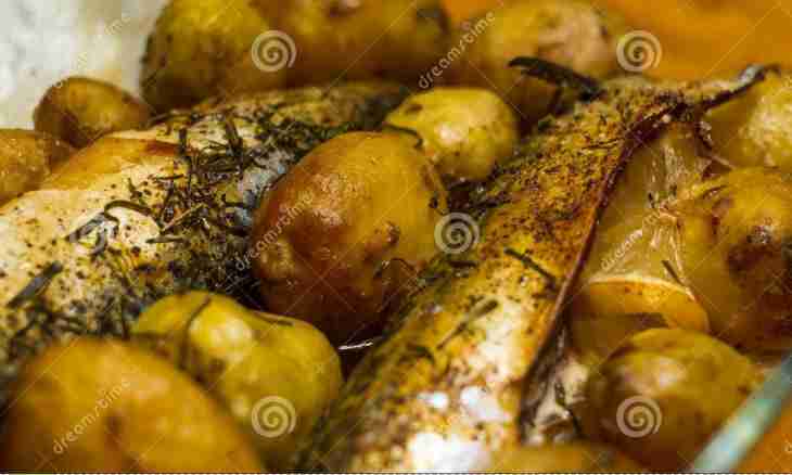 The mackerel baked in an oven: different options