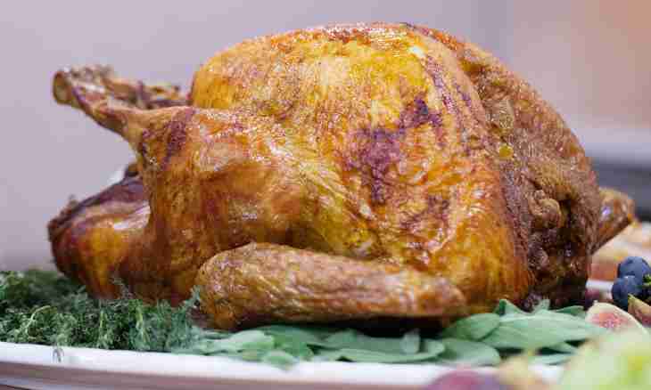 How to prepare a shin of a turkey