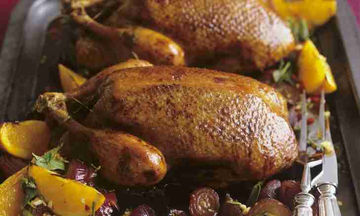 How to prepare a soft and juicy duck in an oven