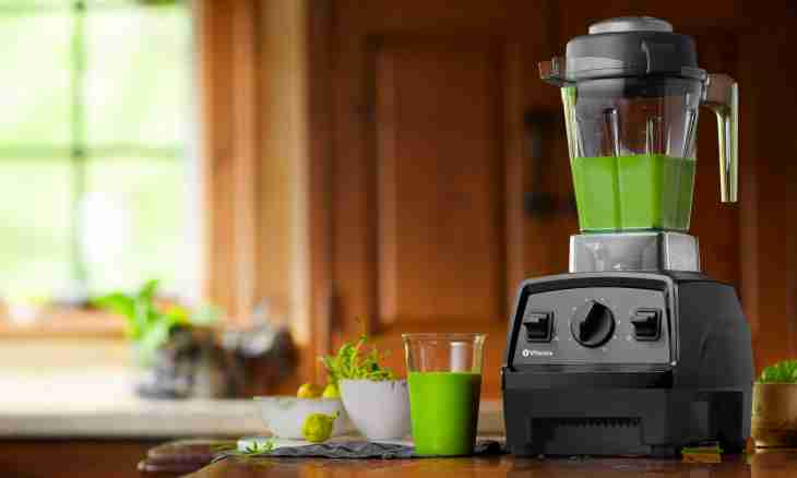 What dishes can be prepared by means of the submersible blender