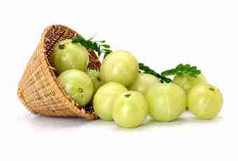 Jam from a gooseberry in classical and modern option
