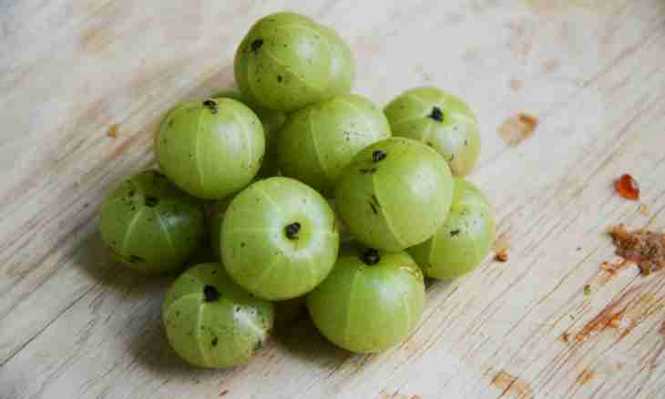 How to make gooseberry jelly