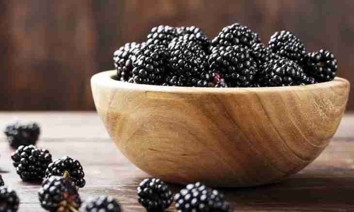 How to prepare Kobler with blackberry