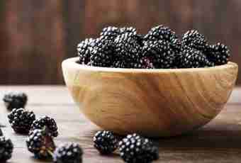 How to prepare Kobler with blackberry