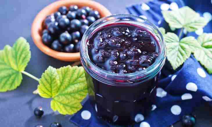 How to prepare a blackcurrant water-ice