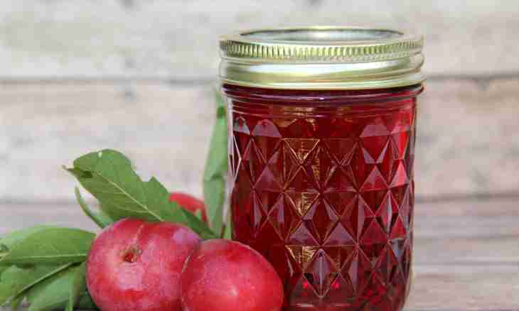 How to make plum fruit jelly in house conditions