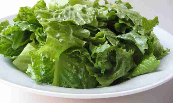 How to make lettuce leaves salad