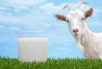 How to part goat milk