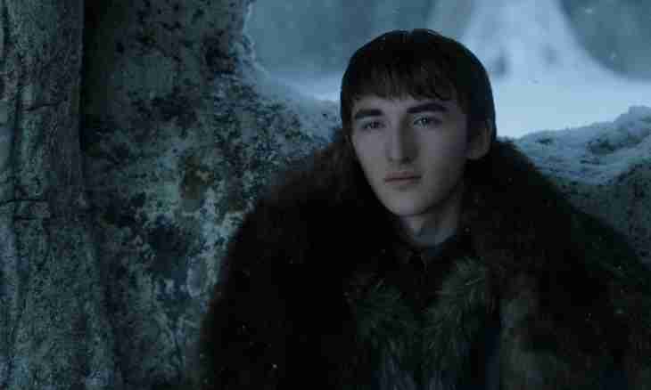 What can be prepared from bran