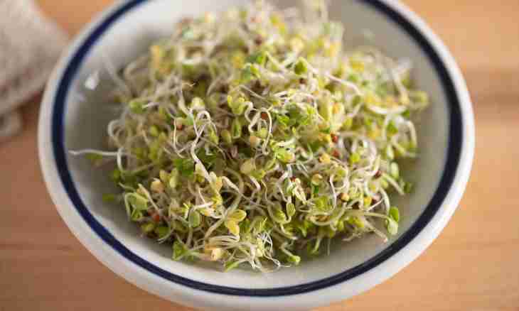How to prepare soy sprouts