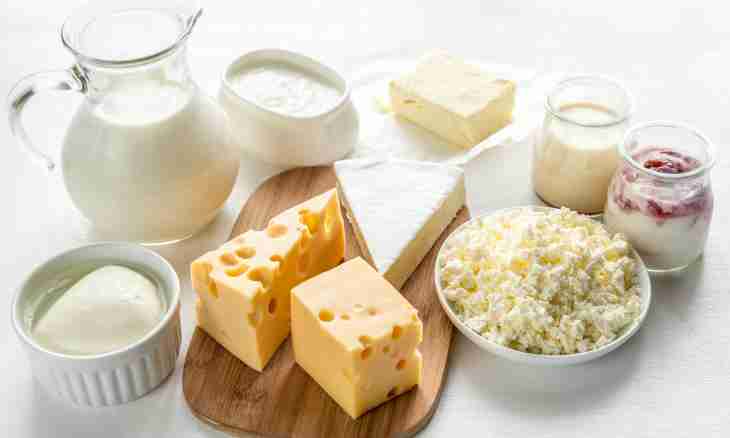 How to make home-made dairy products