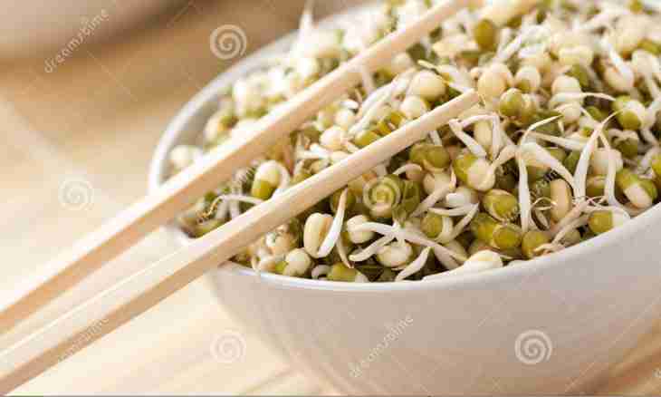 How to make germinated wheat salad