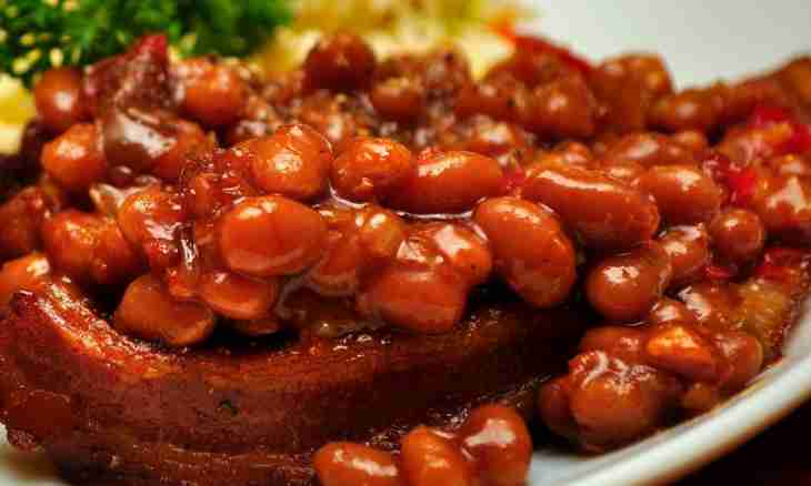 Recipes of dishes from a bean