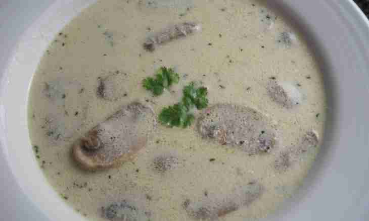 How to make mushroom cream soup