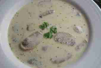 How to make mushroom cream soup