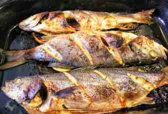 How to prepare a catfish in an oven